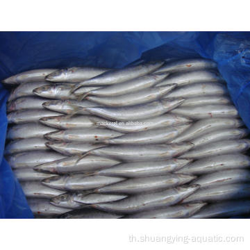 แช่แข็ง BQF Pacific Mackerel ขนาด 100-200g 200-300g 10kg